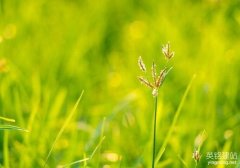 望城建網(wǎng)站